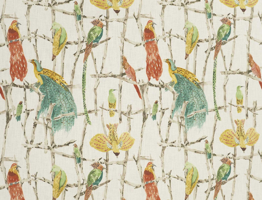 No.9 Thompson Exotic Birds Spice Fabric Sample N9012330002