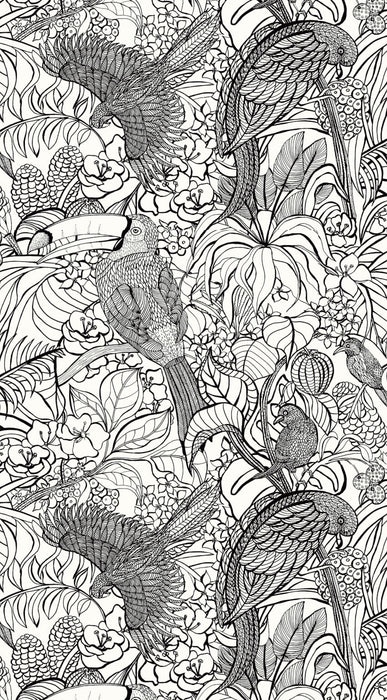 Pierre Frey Costa Rica Noir/Blanc Wallpaper Sample FP440001