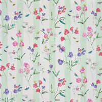 Pierre Frey Rayure Les Pois De Senteur Creme Wallpaper FP085001