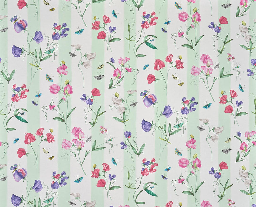 Pierre Frey Rayure Les Pois De Senteur Creme Wallpaper FP085001
