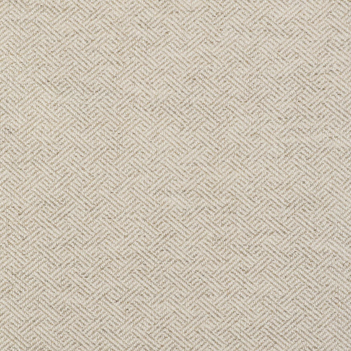 Gaston Y Daniela Enea Crudo Fabric Sample GDT5518.001.0