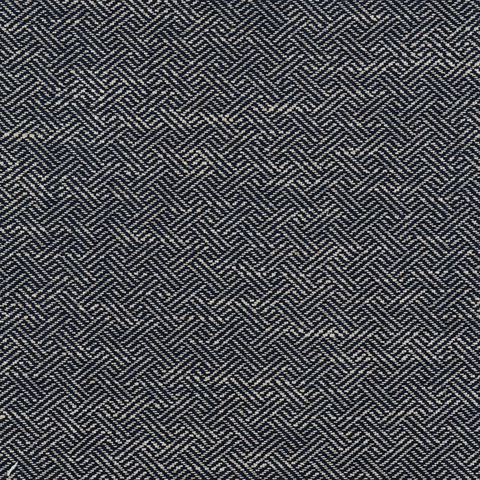 Gaston Y Daniela Enea Navy Fabric Sample GDT5518.011.0