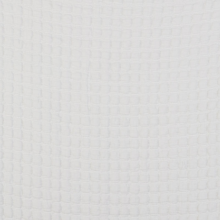 Gaston Y Daniela Morera Blanco Fabric Sample GDT5523.001.0