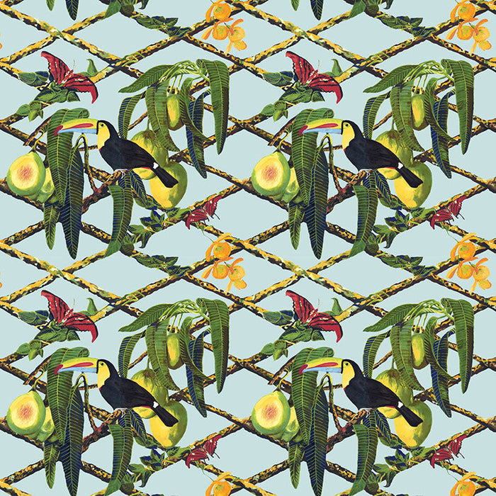 Gaston Y Daniela Tucan Original Fabric Sample GDT5539.001.0
