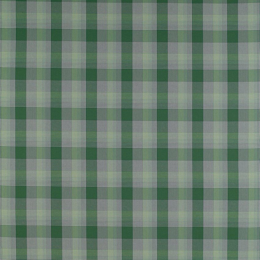 Gaston Y Daniela Preciados Verde Fabric Sample GDT5202.006.0