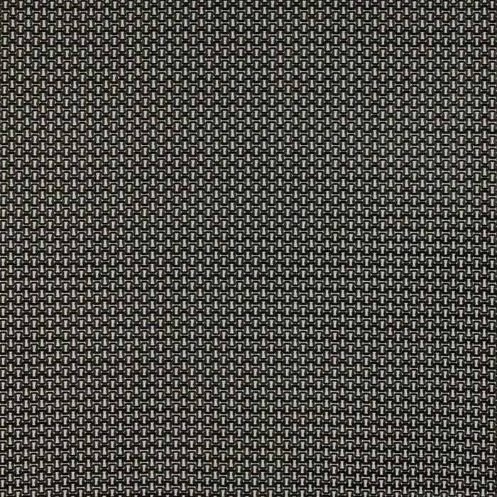 Gaston Y Daniela Viareggio Blanco/Onyx Fabric Sample GDT5341.001.0