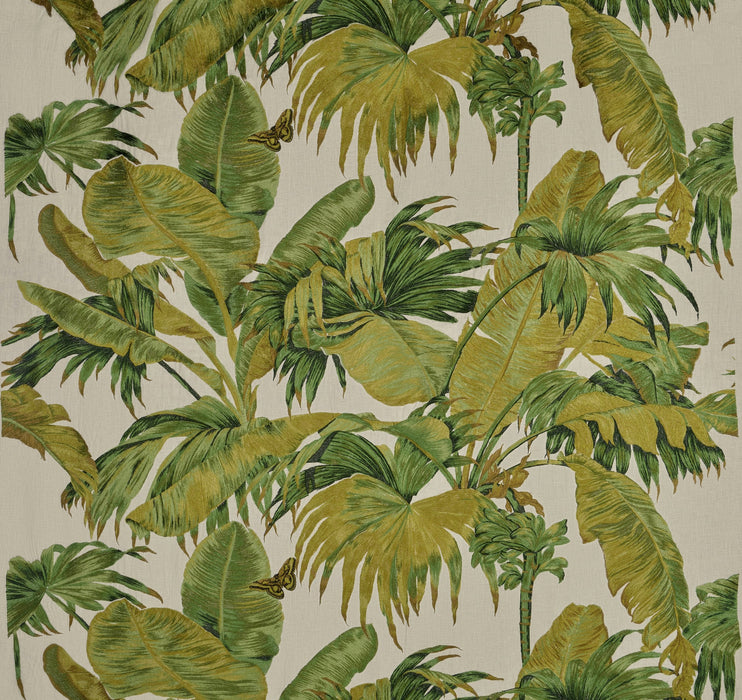 Pierre Frey Bananier broderie Olive Fabric Sample O7962001