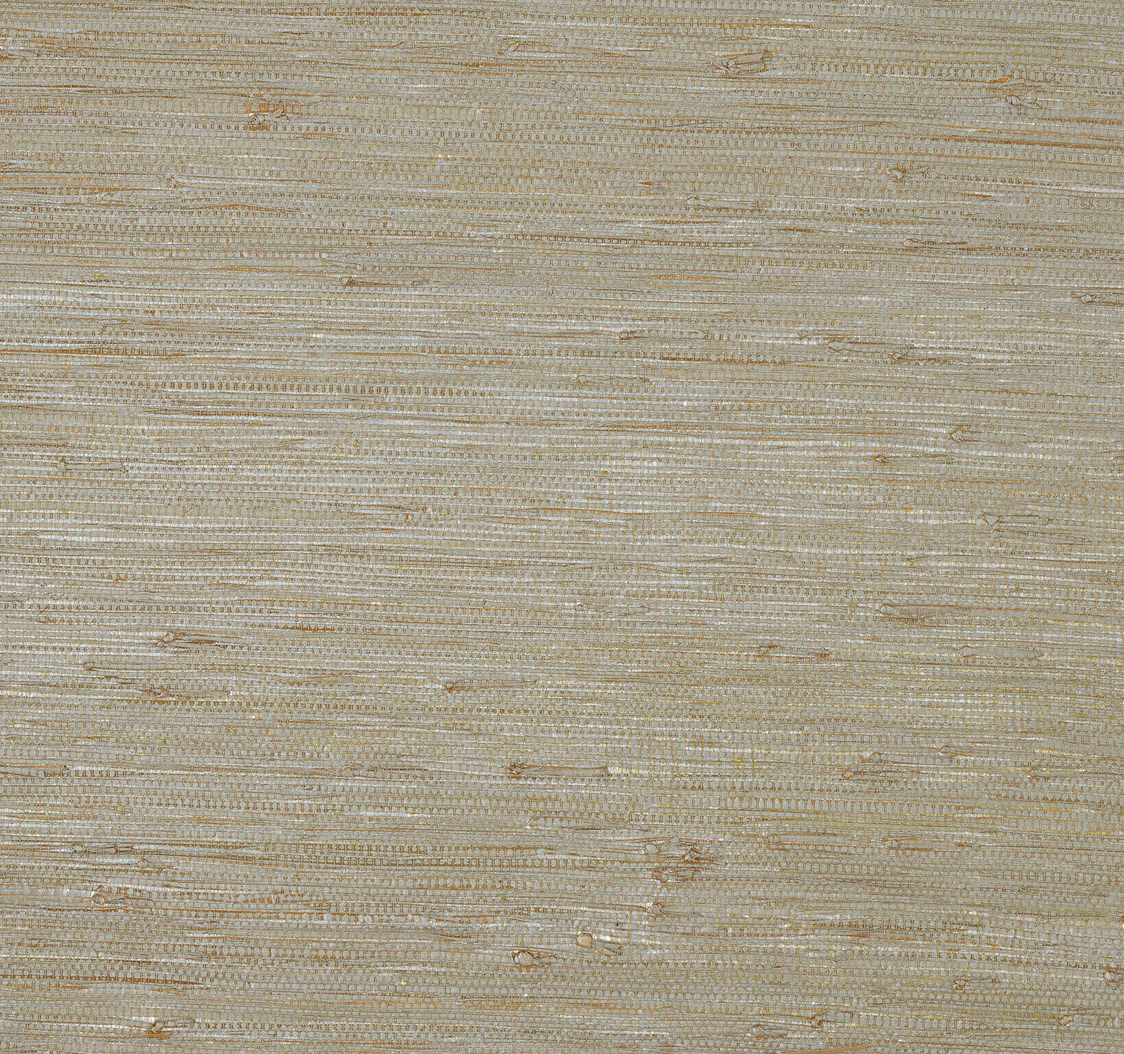 Pierre Frey Kiki Palladium Wallpaper Sample FP419003