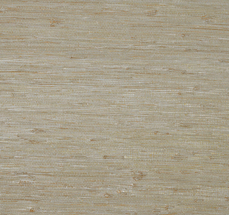 Pierre Frey Kiki Palladium Wallpaper Sample FP419003