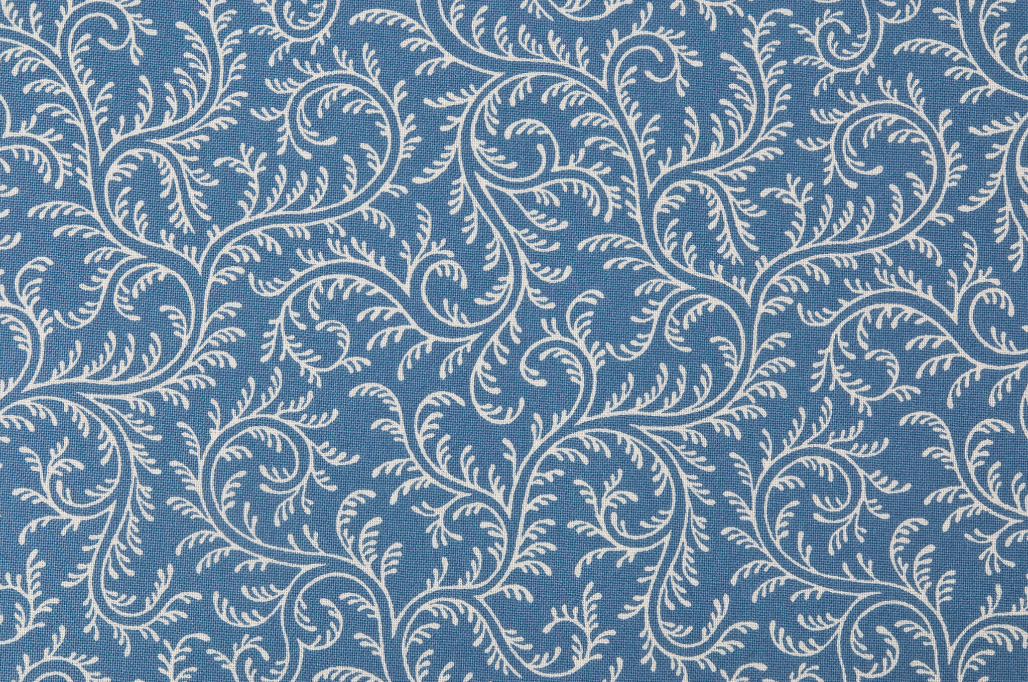 Braquenie Le Grand Corail Vermicule Negatif Nattier Fabric B1887002