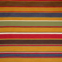 Pierre Frey Rayure Bivouac Multicolore Fabric F3958001