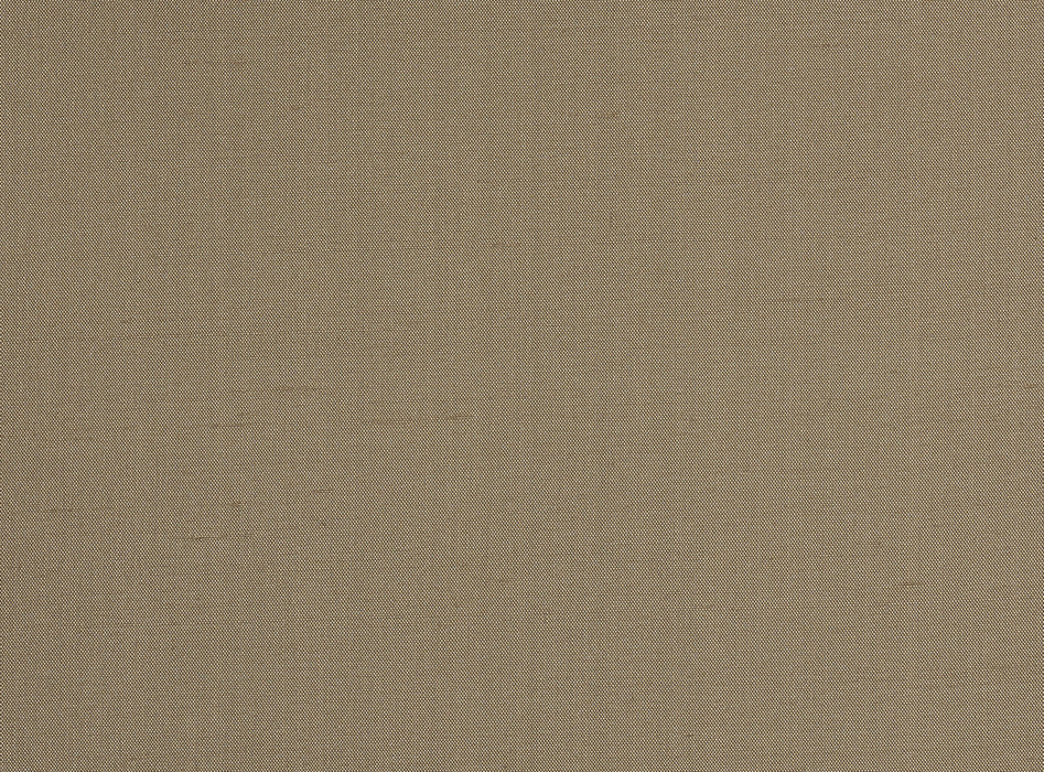 Pierre Frey Zia Racine Wallpaper FP405012