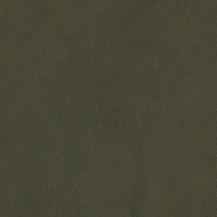 Jasper Ombre Woodland Fabric Sample J103-05