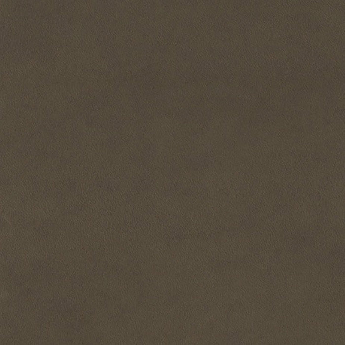 Jasper Ombre Seal Fabric Sample J103-07