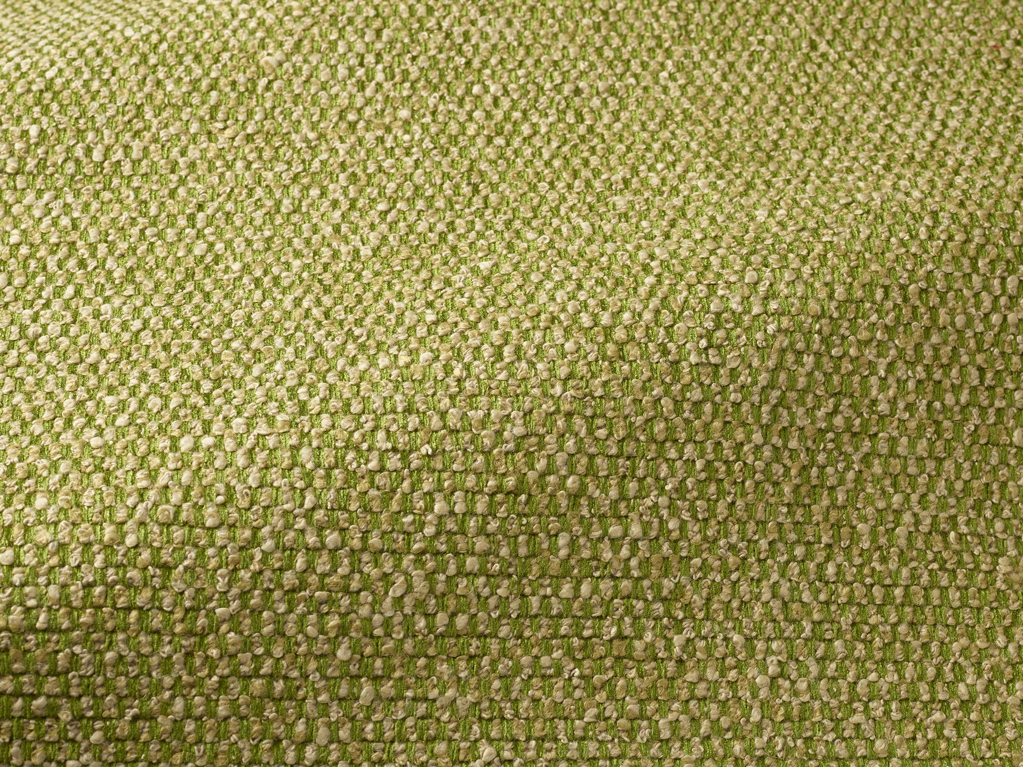 Pierre Frey Gipsy Herbe Fabric Sample F3608012