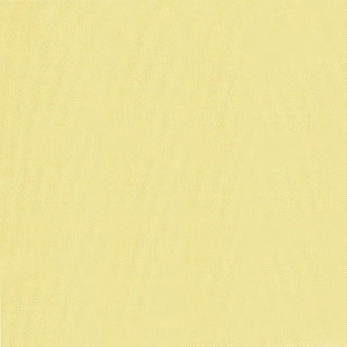 Brunschwig & Fils Jour Straw Fabric Sample JAG-50001.1600.0