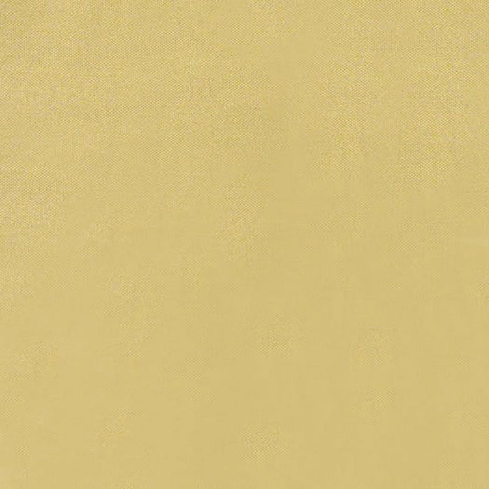 Brunschwig & Fils Jour Palomino Fabric Sample JAG-50001.6611.0