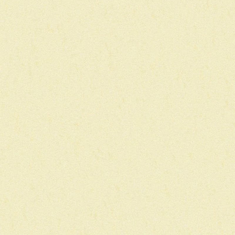 Brunschwig & Fils Shots Nacre Fabric Sample JAG-50020.1016.0