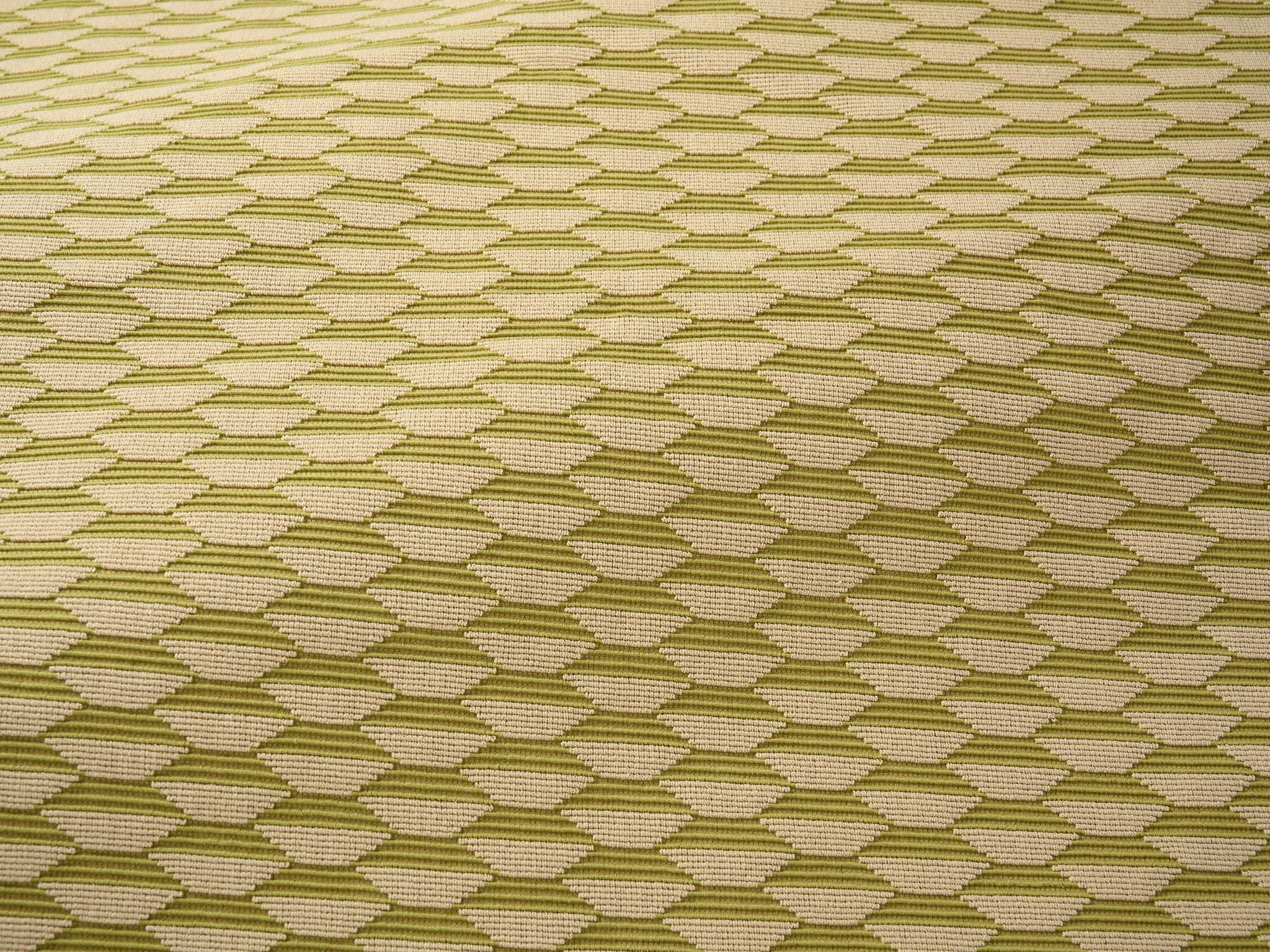 Pierre Frey Bakou Olive Fabric Sample F2798009