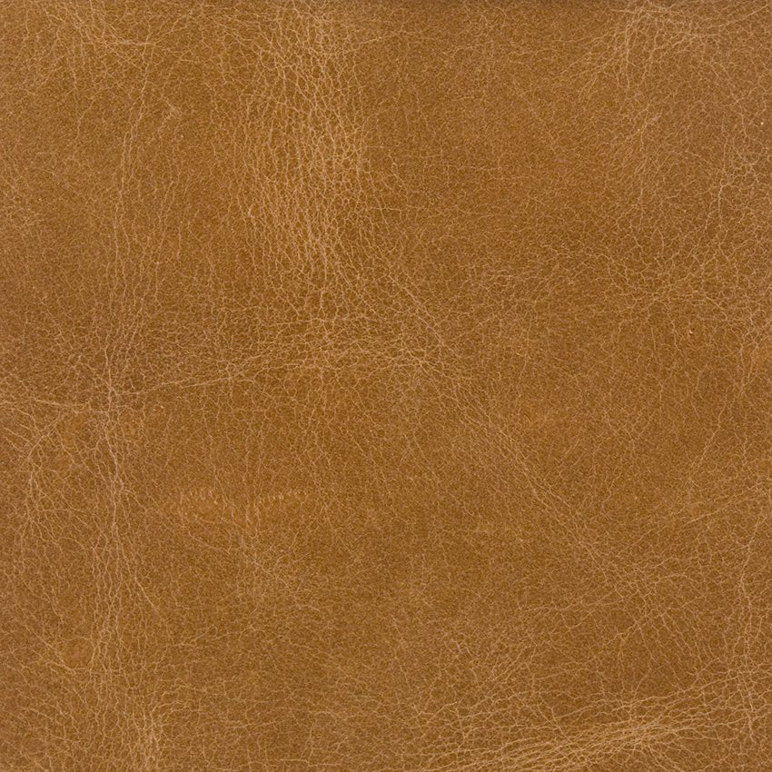 Leather Fabric Samples