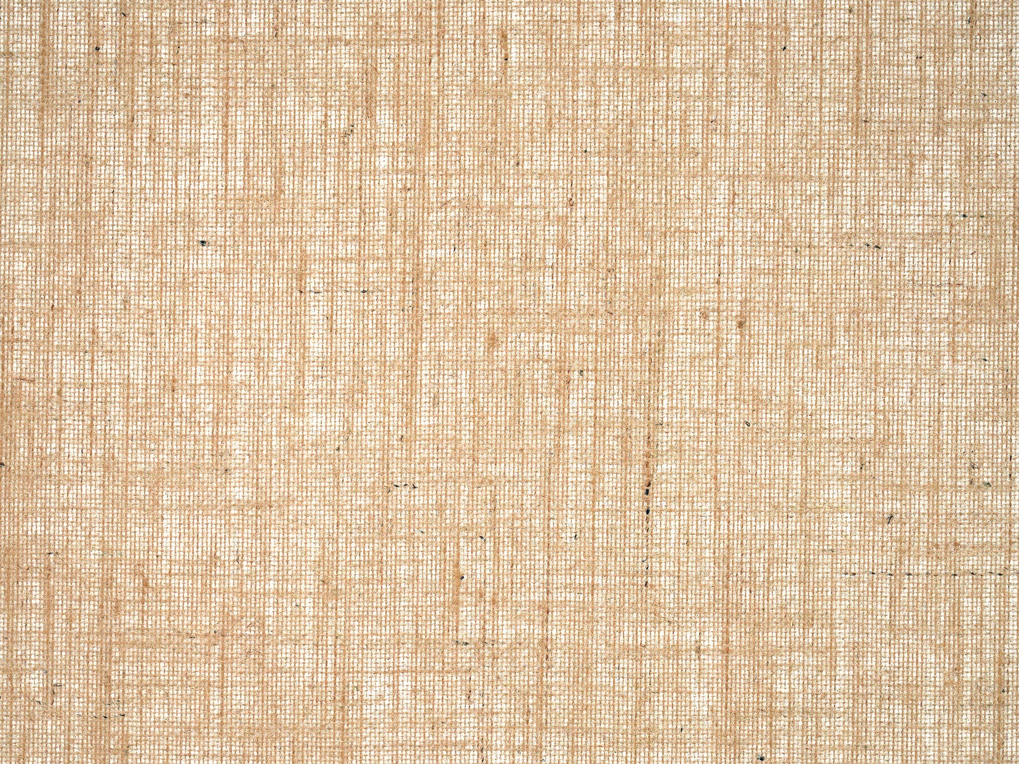 Pierre Frey Owen Corde Wallpaper Sample FP939003