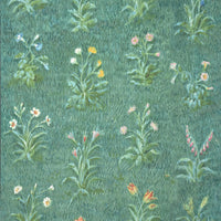 Pierre Frey L'herbier du jardin Prairie Wallpaper FP282001
