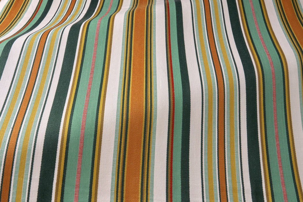 Pierre Frey Rayure vincennes Printemps Fabric F4110002