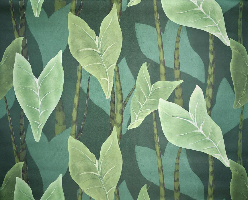 Pierre Frey Monstera Jungle Wallpaper Sample FP092002
