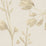 Galbraith & Paul Meadow Biscotti Wallpaper