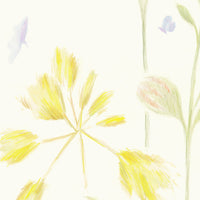 Galbraith & Paul Meadow Daffodil Wallpaper