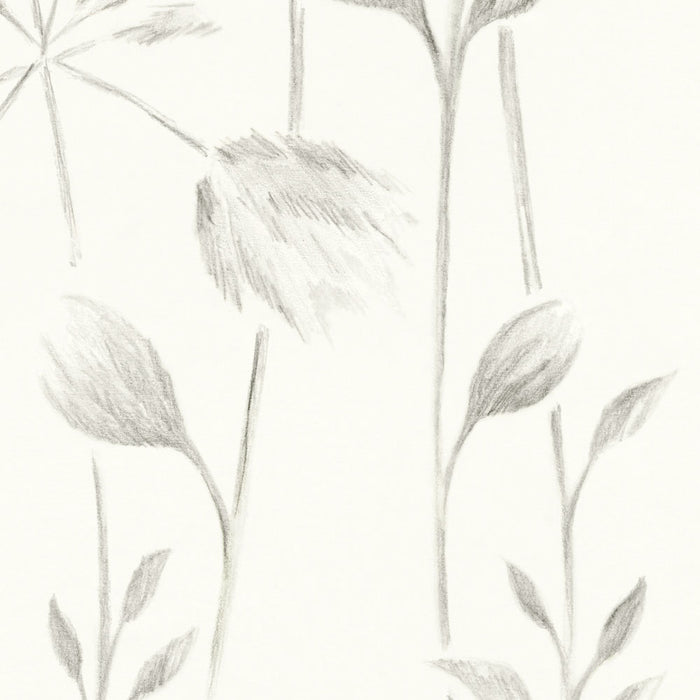 Galbraith & Paul Meadow Graphite Wallpaper