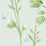 Galbraith & Paul Meadow Pistachio Wallpaper