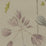 Galbraith & Paul Meadow Rye Wallpaper