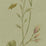 Galbraith & Paul Meadow Sage Wallpaper