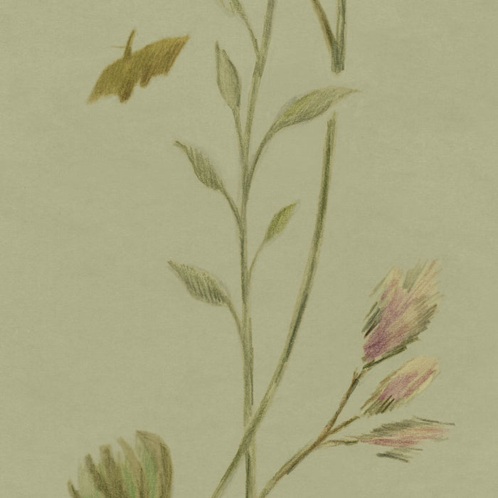 Galbraith & Paul Meadow Sage Wallpaper
