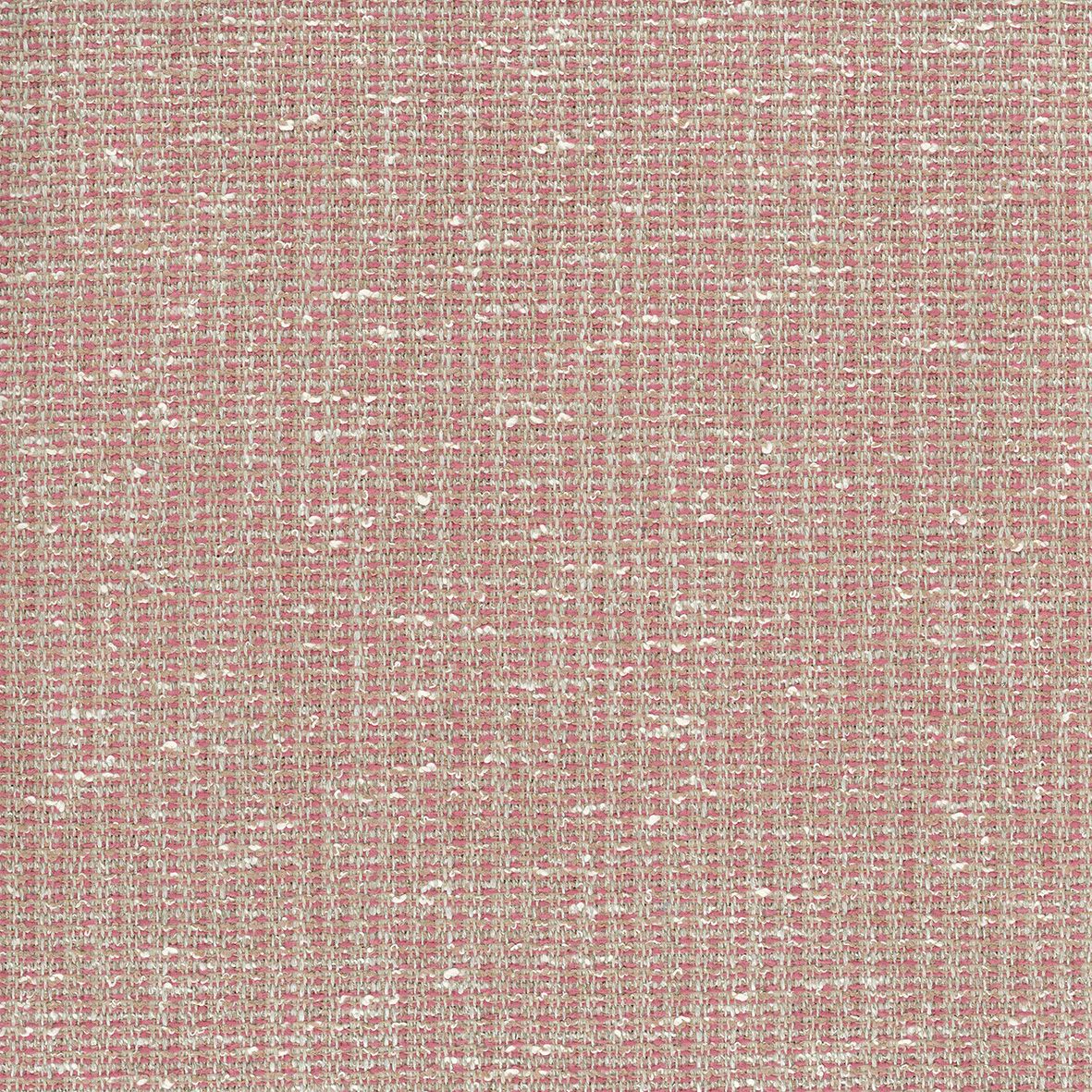 Nina Campbell Bulet 3 NCF4471-03 Sample | 40% Off (Samples)