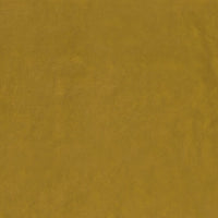 Nina Campbell Gabrielle 10 Fabric NCF4540-10