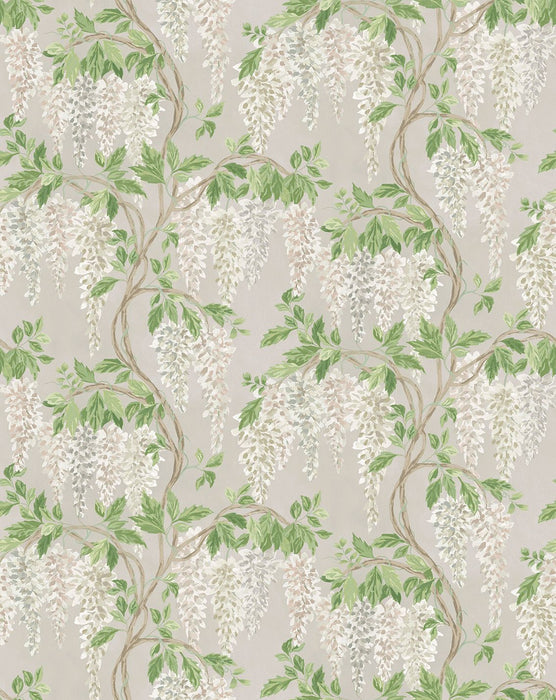 Nina Campbell Wisteria Walk Stone / White / Green Wallpaper NCW4632-03