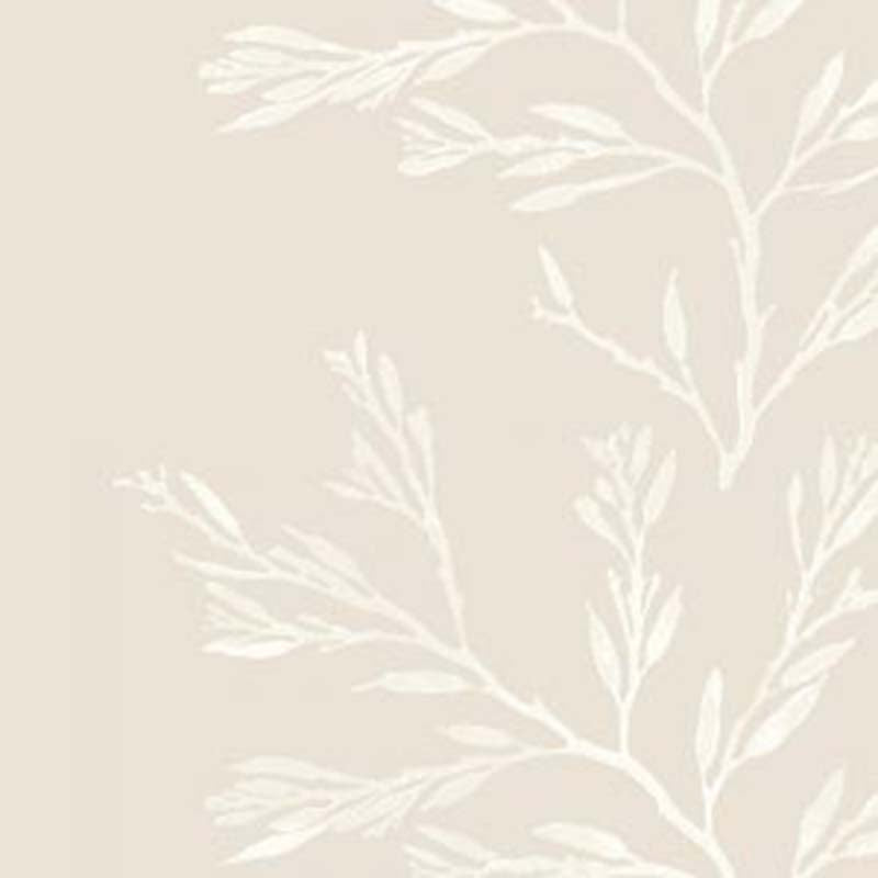 Galbraith & Paul Nori Stripe Dune Wallpaper Sample