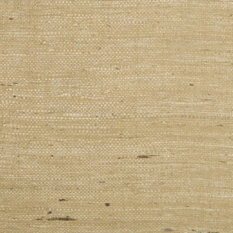 Brunschwig & Fils Kochi Tan Wallpaper Sample P8015146.61.0