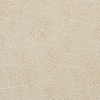 Pierre Frey Rocaille Meringue Fabric F3123001