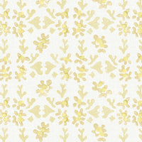 Galbraith & Paul Petals Daffodil Wallpaper