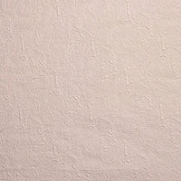 Braquenie Albi Coton Fabric B7671001