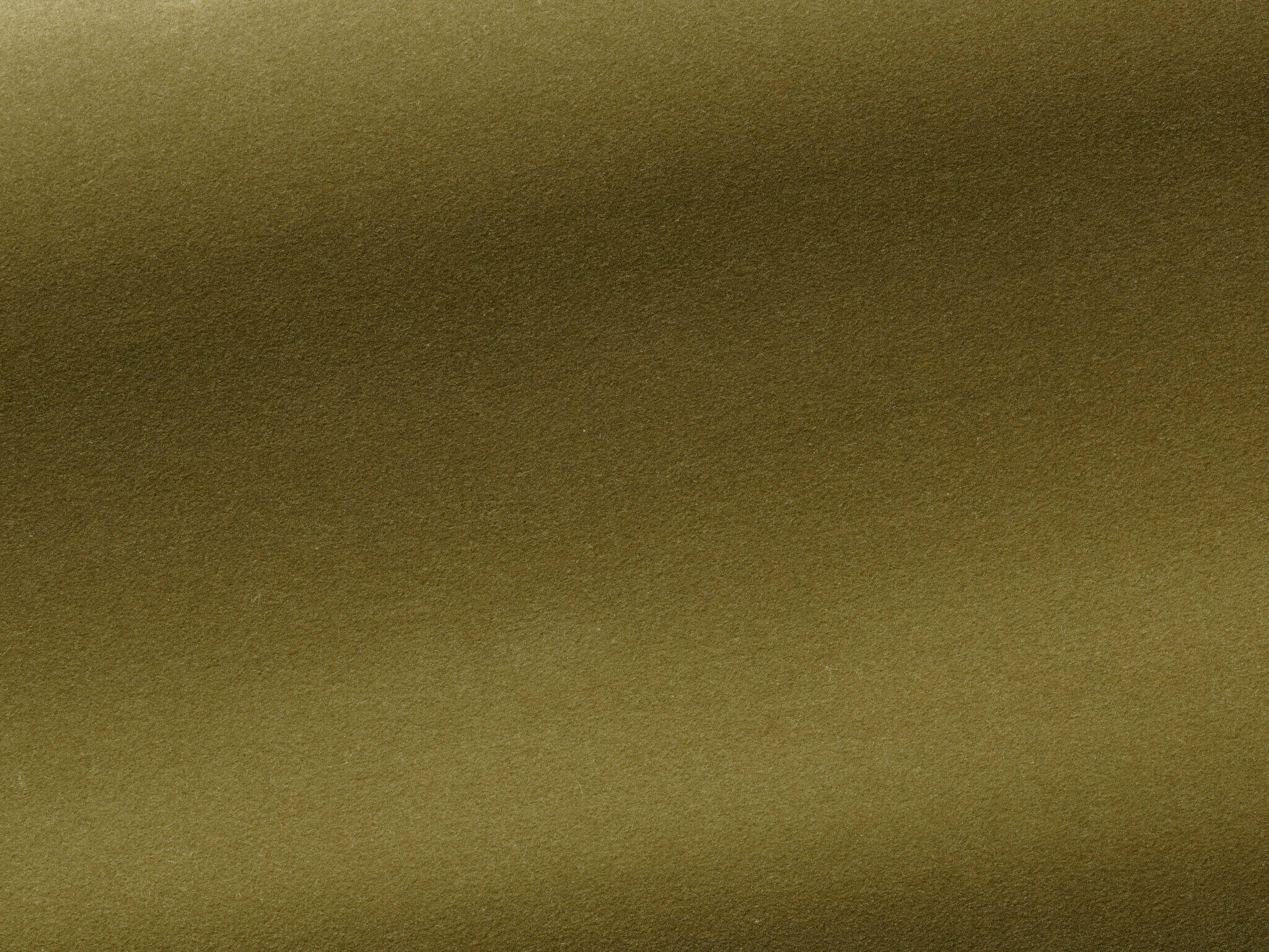 Pierre Frey Medium Fougere Fabric Sample F3211010
