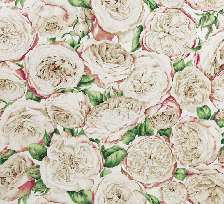 Pierre Frey Roses Anciennes Nacre Fabric Sample F2728002