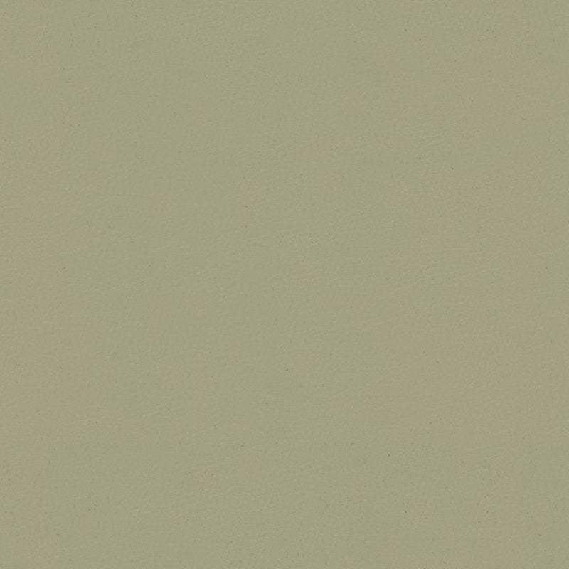 Kravet Contract Sol Nickel Fabric Sample SOL.11.0