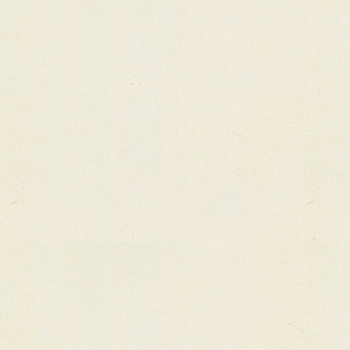 Kravet Contract Sol Cloud Fabric Sample SOL.1.0