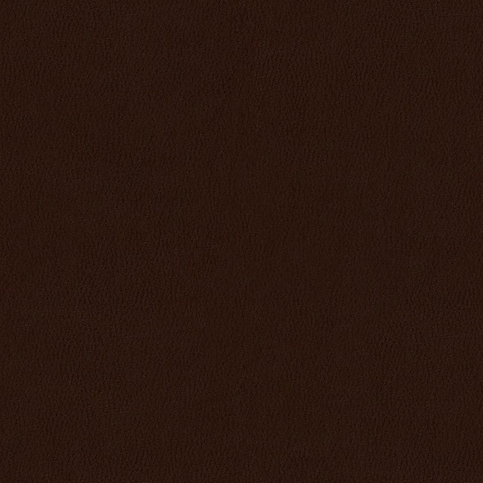 Kravet Contract Sol Truffle Fabric Sample SOL.66.0