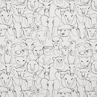 Pierre Frey La Photo De Classe Croquis Fabric F3561001