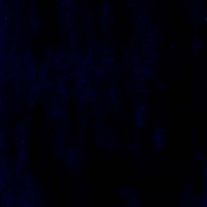 Calvin Trevi Navy Fabric 12596